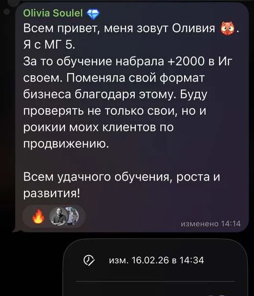 скриншот из чата учеников