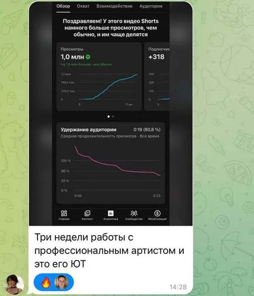 скриншот из чата учеников