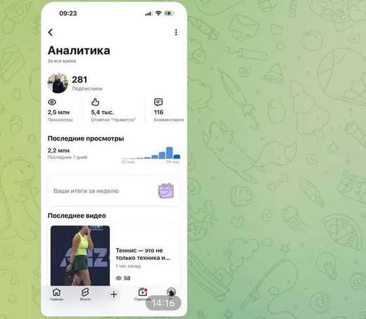 скриншот из чата учеников