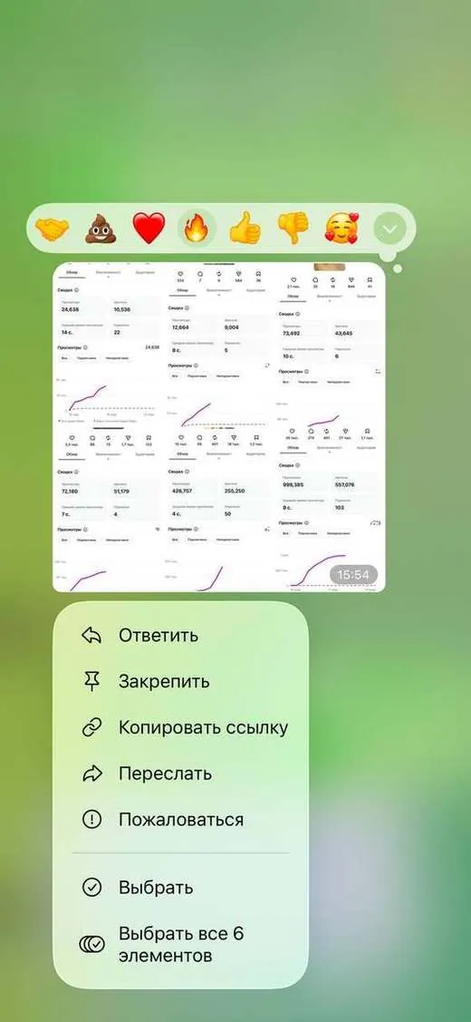 скриншот из чата учеников