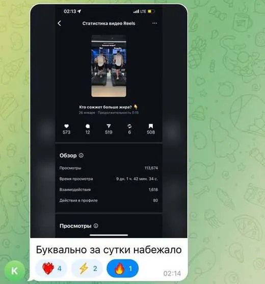 скриншот из чата учеников